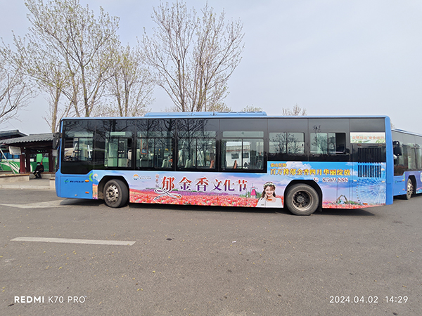 天颐湖-郁金香文化节